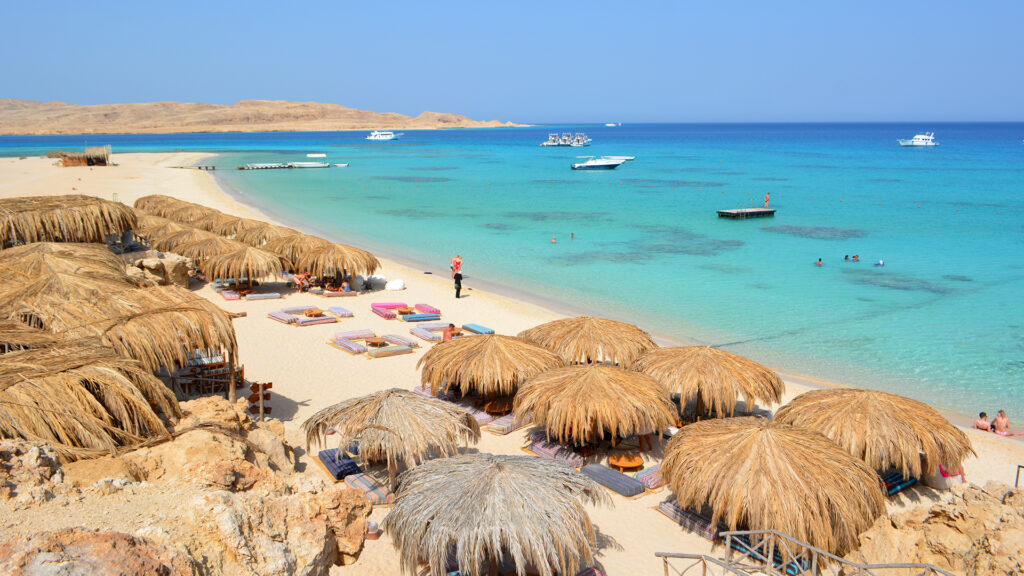 A russian man was killed by a tiger shark on the shores of red sea resort in Egypt