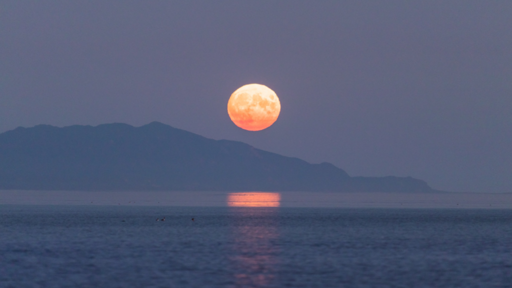 How to watch the Super Blue Moon 2023
