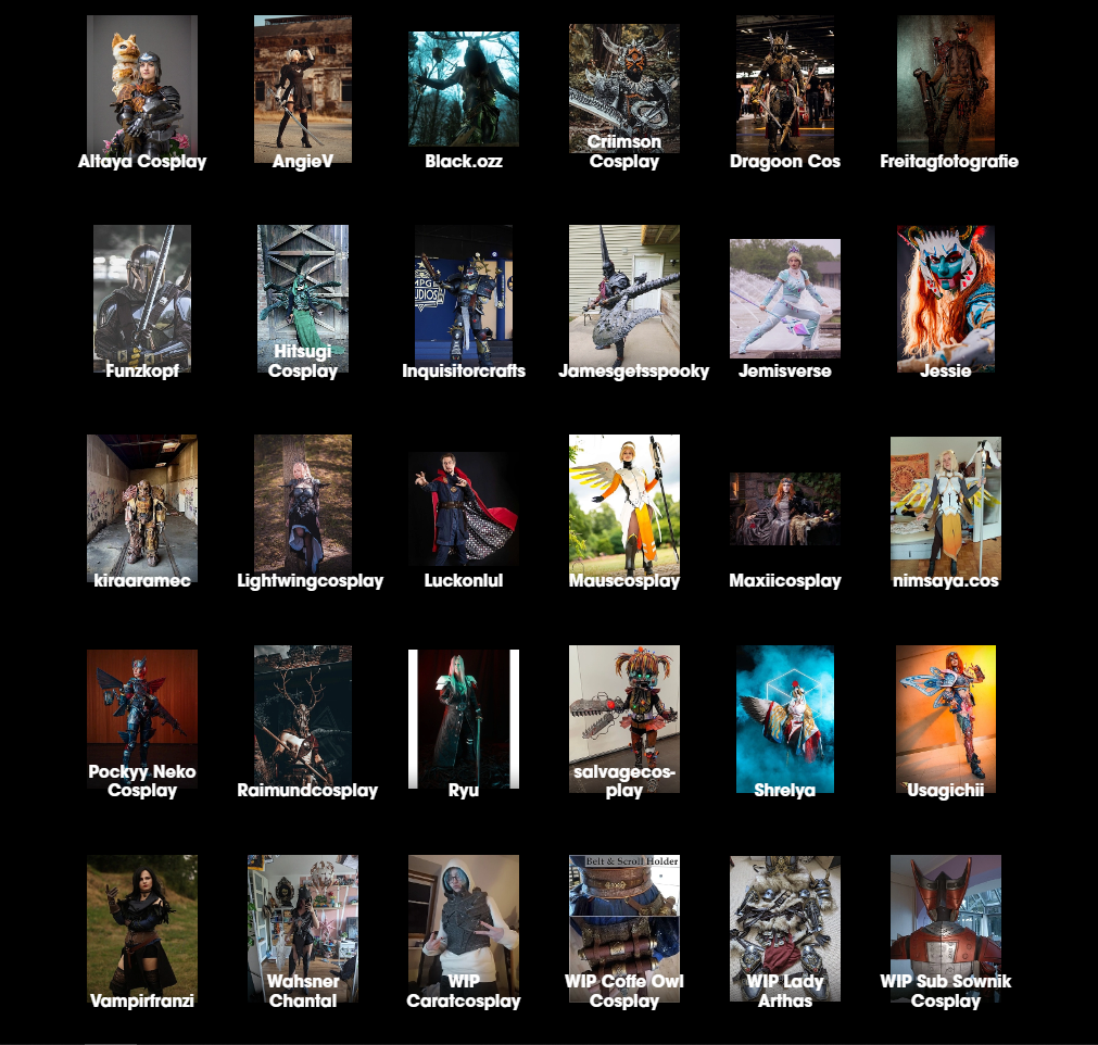 Cosplay Finalists 