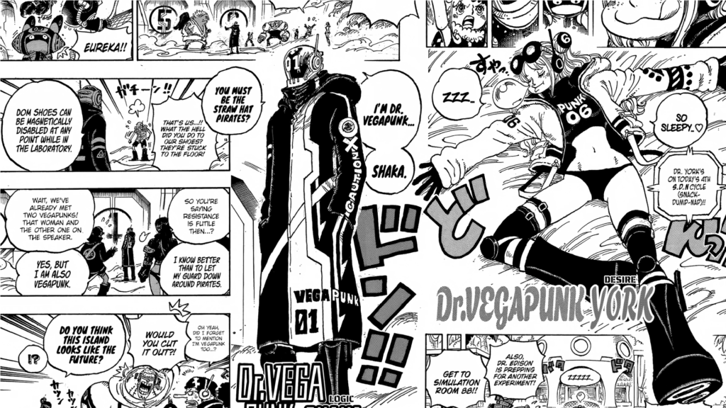One Piece 1089 Why did York betray Vegapunk