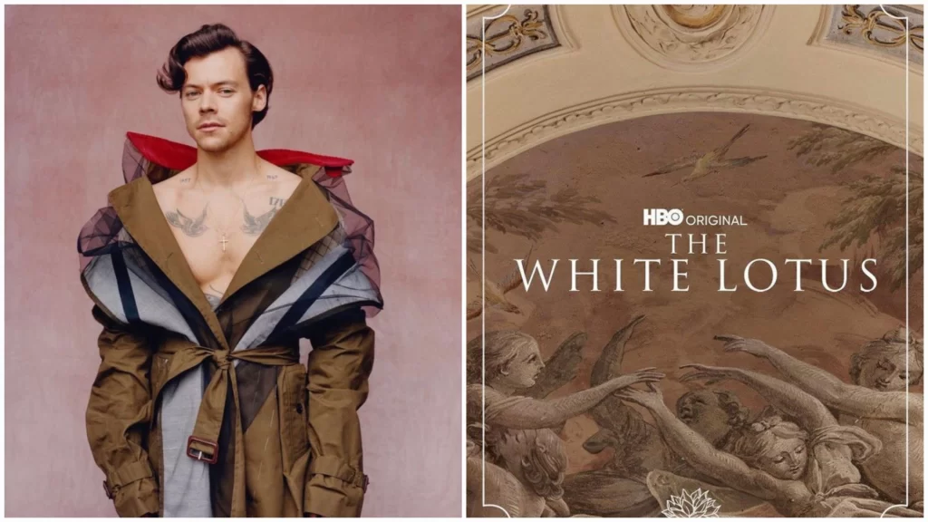 Will Harry Styles join HBO The White Lotus?