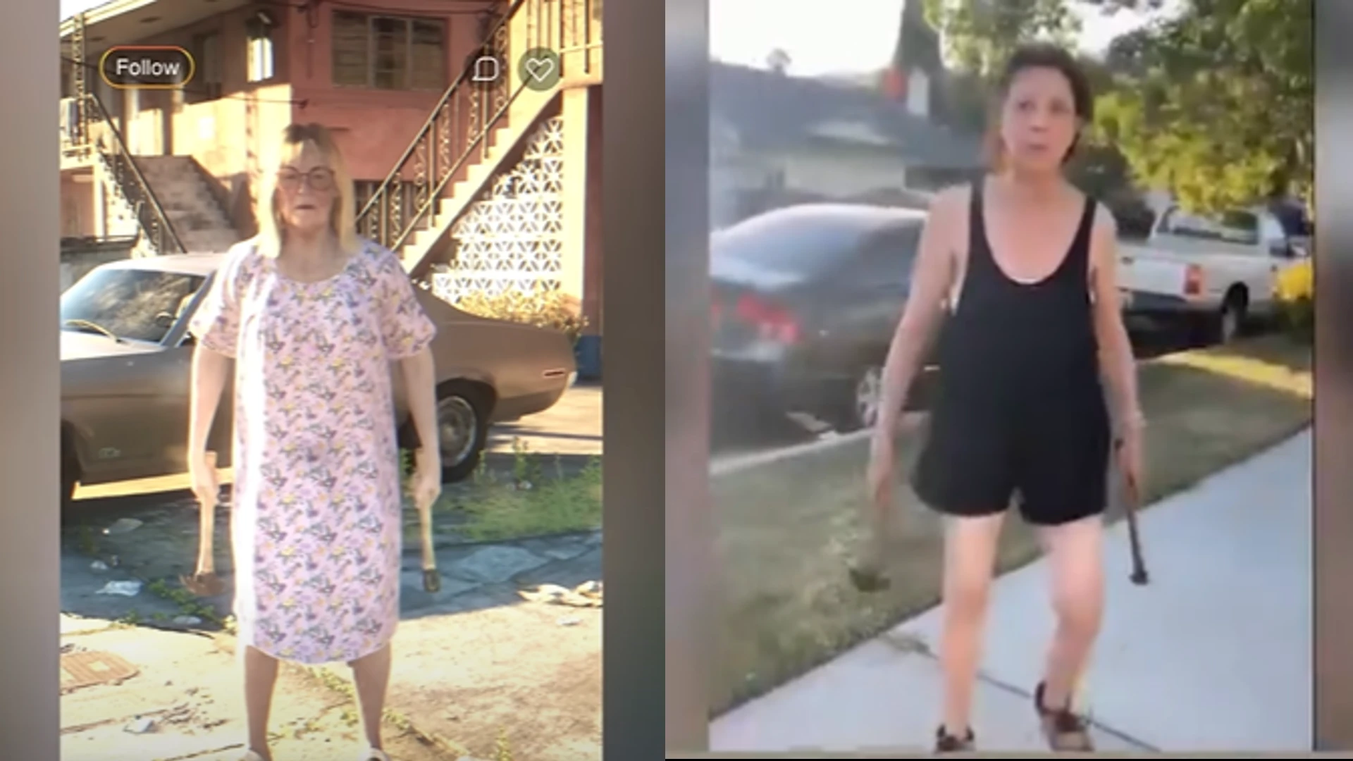 GTA 6 Trailer 1 - karen with axe