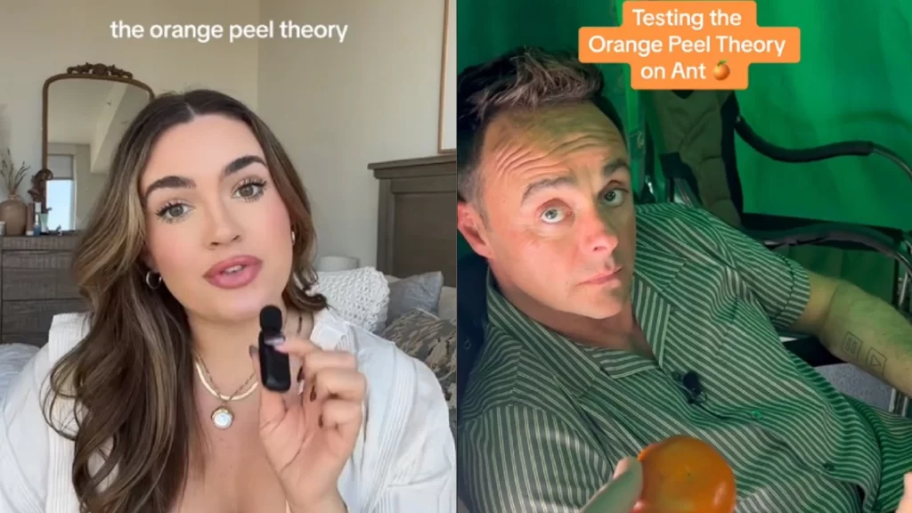 TikTok Orange Peel Theory | Explained