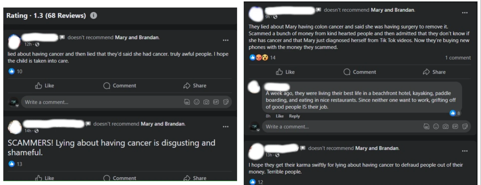90 Day Fiance Mary and Brandan Facebook Page Review