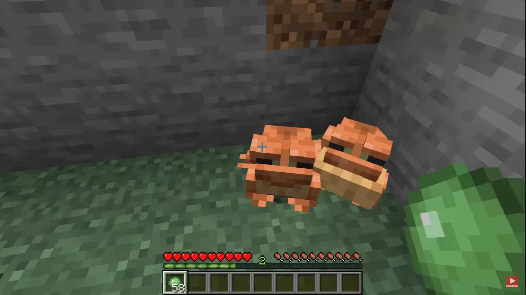 How to Breed Frogs in Minecraft