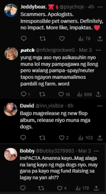 4th Impact: PAWS Slams "Negligent" Pet Ownership, Fundraising Sparks Debate
