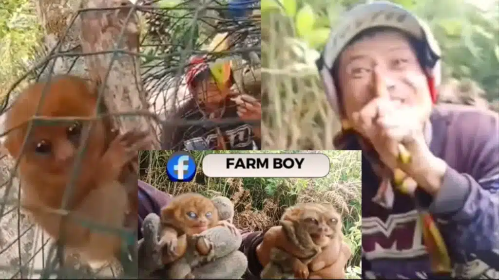 Who is the Vlogger who Grabbed the Tarsier in the Philippines? Where is he now? Farm Boy Vlog