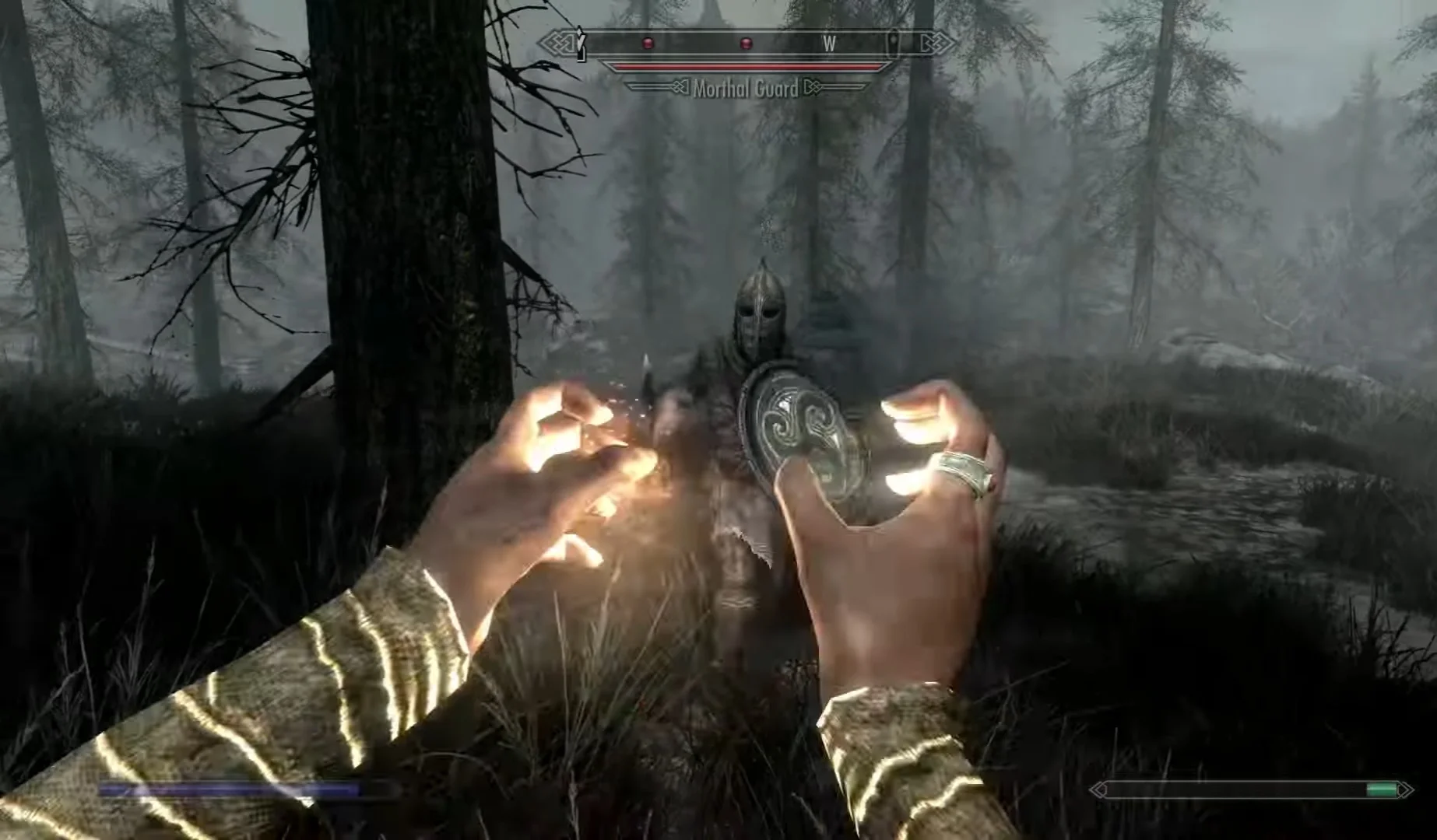 The Elder Scrolls 5 Gameplay