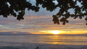 Hey, Google. Are you happy?