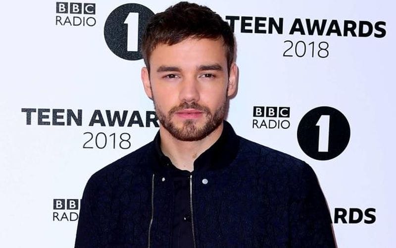 Liam Payne posthumous release delayed due to grievance purposes